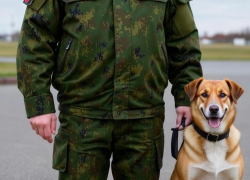 В России в армию теперь будут призывать круглый год