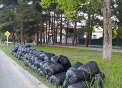 Анапа выходит на пик санитарной подготовки к курортному сезону
