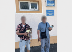В Геленджике у пляжных фотографов забрали обезьянок: мужчин проверяют по статье о жестоком обращении с животными
