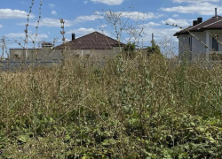 Земля без присмотра: в Анапе владельцы 400 участков получили предупреждения, более 250 уже оштрафованы