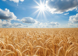 Ограничения на покупку земли в Анапе для иностранцев