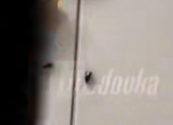 Тараканы Шрёдингера: девочке из Анапы в сладком подарке попались насекомые или нет