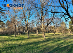 В День «давайте смеяться» в Анапе будет солнечно и тепло