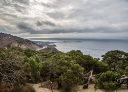 Как затронула Анапу реализация проекта туристского кластера «Абрау-Утриш»?