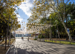 В Международный день тёщи в Анапе снова солнечно 