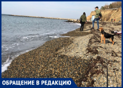 Анапчанка просит построить бесплатную общественную площадку для выгула собак