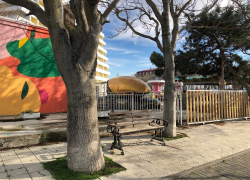 В День российского хоккея в Анапе потеплеет