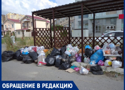 На улице Садовой в Алексеевке завалены мусором контейнерная площадка и территория рядом