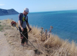 Субботник на «300 ступеней» отменили, но могут перенести на другую территорию