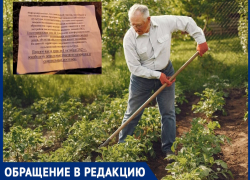 У жителей Виноградного отбирают огороды – землю перевели в ИЖС и застроят