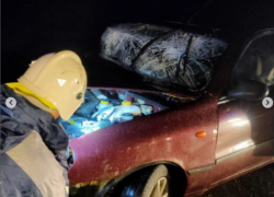 Минувшая неделя в Анапе запомнилась пожарами и ДТП на трассе в Виноградном