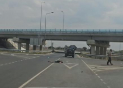 Страшная авария в Пятихатках: мопедиста сбили насмерть