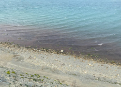 Море в Анапе стало красным: необычное явление заметили очевидцы