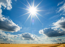 Кубань накроет жара под 40 градусов 