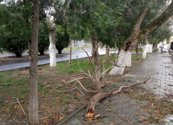 Анапу затопило, на улице Крымской движение затруднено из-за сломанных деревьев