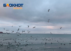 В День отказа от курения в Анапе возможен дождь