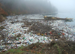 В Краснодарском крае вступили в силу новые правила обращения с мусором