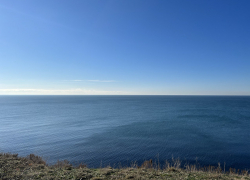 В День рождения Винни-Пуха в Анапе тепло и солнечно