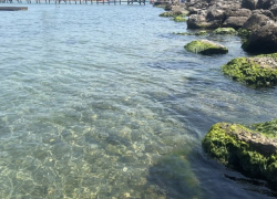 Сказочно манящая: даже на Центральном пляже Анапы чистая вода