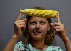 Кукурузные «битвы» в Анапе не утихают всё лето: на 1 покупателя-6 продавцов