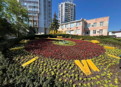 В Анапе к курортному сезону высадят более 100 тысяч цветов