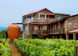 На виноградниках под Анапой могут появиться отели