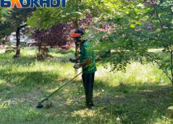 После публикации в «Блокнот Анапа» в сквере Гудовича косят траву