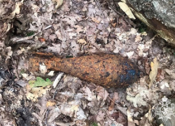 На виноградном поле под Анапой обнаружили минометную мину времен войны