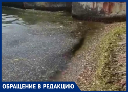 Грязное море входит в стоимость лежаков на пляже «Малая Бухта» в Анапе