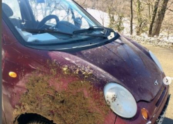 Под Анапой из-за наледи "Дэу Матиз" занесло, автомобиль улетел в кювет