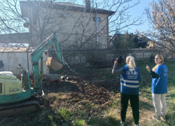 Анапа готовится принять новый стационар для дельфинов к осени