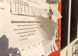  Бизнес по выносу мусора из квартир соседей организовал в Анапе школьник