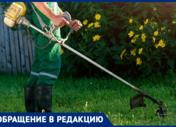 «Траву косим сами… Вывозить тоже должны за свой счет?»