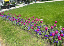 В День вахтовика в Анапе пойдёт дождь