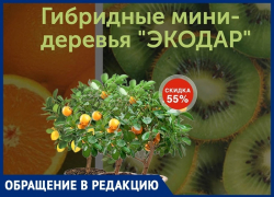 Анапчанку развели в интернет-магазине с покупкой гибридных мини-деревьев