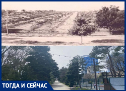 Как выглядел сквер Гудовича 65 лет назад