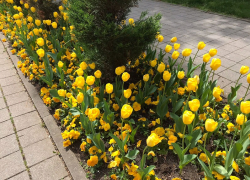 В День космического туриста в Анапе пасмурно