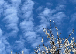 В День денег в Анапе облачно