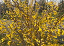 В день рождения швейной машинки в Анапе снова дождливо и пасмурно