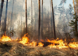 Опасная жара: в Анапе действует предупреждение о высокой пожароопасности