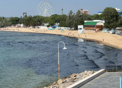 Раскрыта тайна черных водорослей на побережье Анапы 