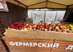 Где в Анапе можно купить продукты местных производителей: адреса и цены