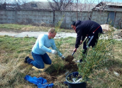  На работы по озеленению Анапы потратят более 18 млн рублей
