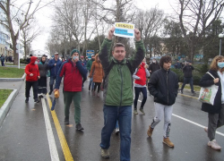 В Анапе, Краснодаре, Новороссийске и Сочи прошли протестные акции. Как это было?