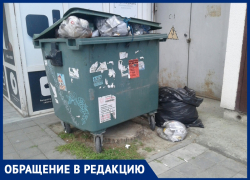 "Вечная вонь и грязь": анапчане задыхаются из-за мусорных контейнеров на улице Таманской