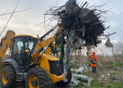 В плавнях Анапы прошел большой субботник 