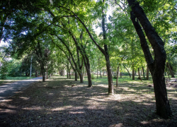 В поселке Виноградном идет первый этап реконструкции Парка Виноделия