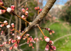 Во Всемирный день искусства в Анапе солнечно и ясно