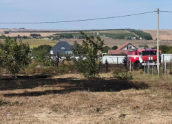 Жительница Анапы пожаловалась на заброшенные сельхозземли после пожара