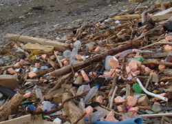 Совсем замусорили море: турецкие "дары" снова у анапских берегов